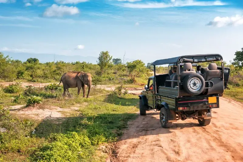 really-wildlife-sri-lanka-safari really-wildlife-sri-lanka-safari